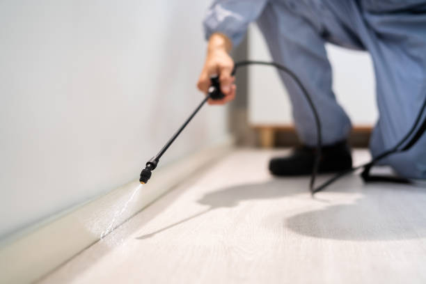 Bed Bug Pre-Treatment Preparation Assessment in Iroquois Point