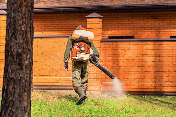 Bed Bug Clearance Verification and Documentation in Iroquois Point